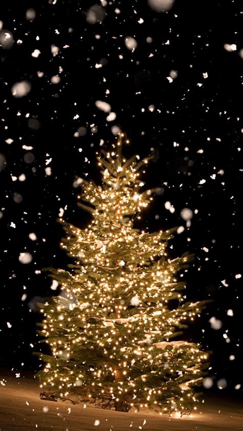 10 Pinterest Christmas Lights Iphone Wallpaper Pictures