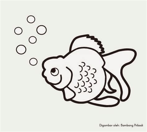 40 gambar sketsa binatang yang mudah di tiru sumber bingkaigambar.com. Mewarnai Binatang Ikan Maskoki ~ belajar menggambar dan ...