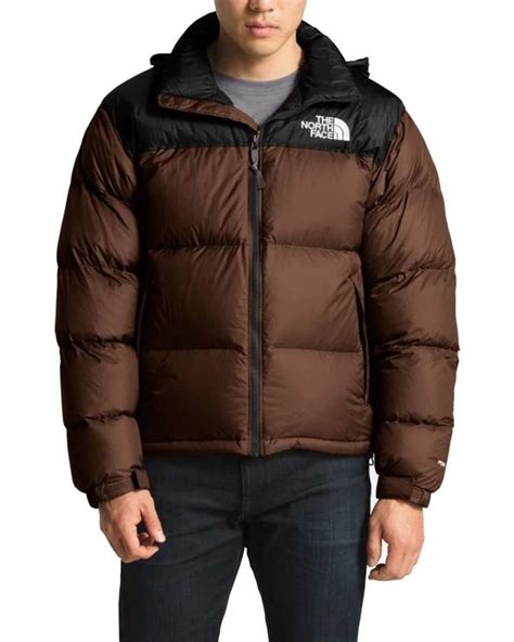 Brown The North Face Puffer Jacket With Hood Free Shipping