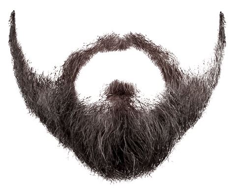 Nature picsart png background clipart. Moustache clipart real, Moustache real Transparent FREE ...