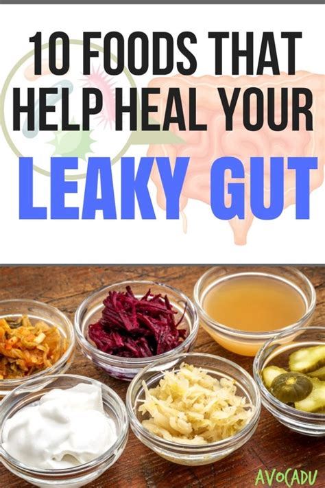 10 Foods That Help Heal Your Leaky Gut Avocadu