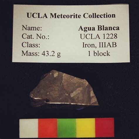 Agua Blanca Was Found In Argentina In 1938 And Its Part Of The Ucla