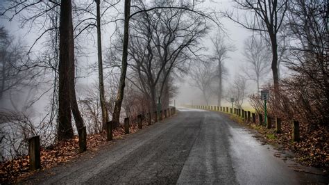 Road And Trees Covered With Fog During Fall 4k Hd Nature Wallpapers