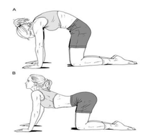 Pull your abs in, hunch your back up and flex your spine. Top 5 Stretches to Improve Your Mobility - Michael Lell, DC