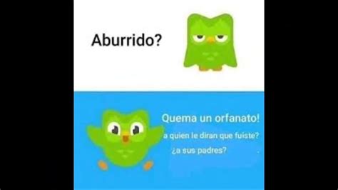 No Duolingo Nooo Porfavor Noooo 😔 ️banda Ayuda Youtube