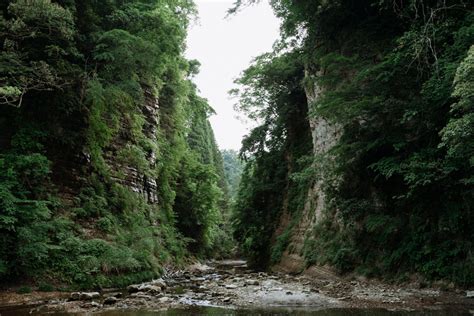 Umegase Keikoku Yoroko Keikoku Ravine And Urajiro River Dondon Cave