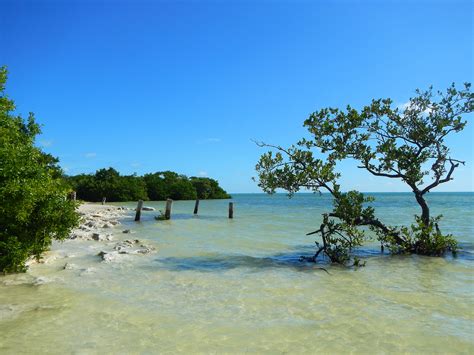 The Florida Keys Part 5 Annes Beach Park Islamorada Another Walk