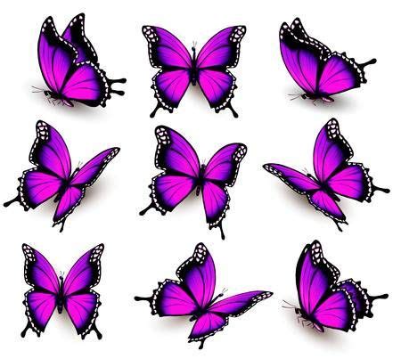 Mariposa púrpura en diferentes posiciones. | Mariposa púrpura, Tatuaje púrpura de mariposa ...
