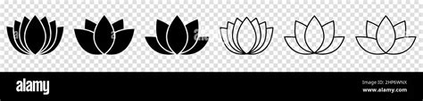 Lotus Flower Icons Vector Illustration Isolated On Transparent Background Stock Vector Image