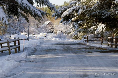 Early Morning Snow In Wells Maine By Monica M Scanlan Redbubble