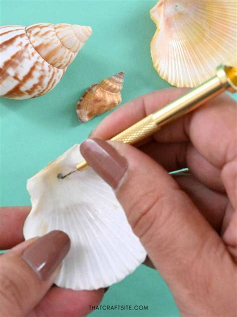 How To Make A Hole In A Seashell Without Breaking It