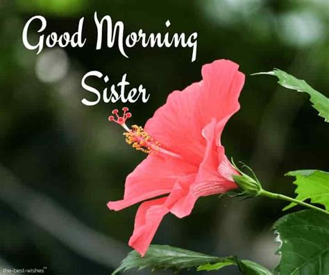 120 Lovely Good Morning Wishes And Greetings For Sister