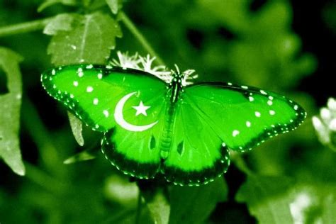 There are 139 days remaining until the end of the year. 14 August Pakistan Flag Wallpapers, Pictures Photos 2017