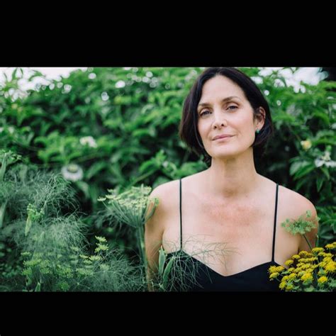 Carrie Anne Moss Carrieannemoss Instagram Profile Picdeer Carrie