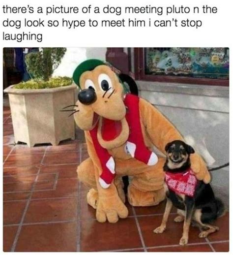 50 Best Funny Dog Memes For National Dog Day Yourtango Cute Animal