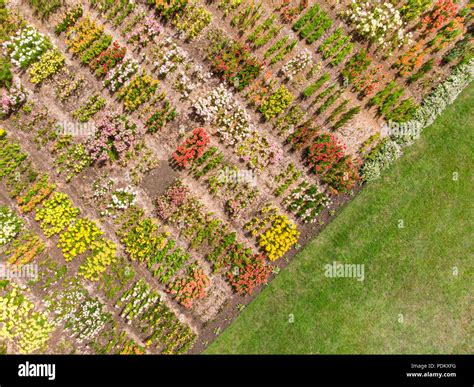 Aerial Flower Field Hi Res Stock Photography And Images Alamy
