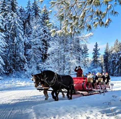 Enjoy A Sleigh Ride Through A Winter Wonderland At Mountain Springs