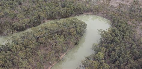Record Philanthropic Purchase To Protect Murray Darling Wetland Pba
