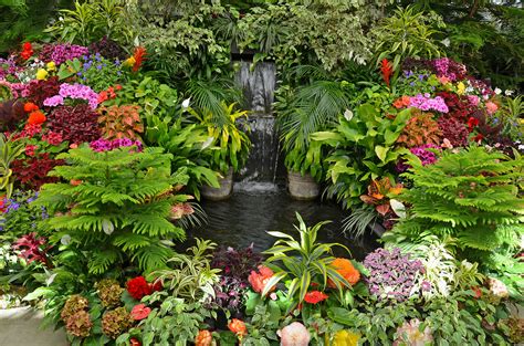 10 Tropical Ideas To Make Your Garden An Exotic Oasis My Weekly