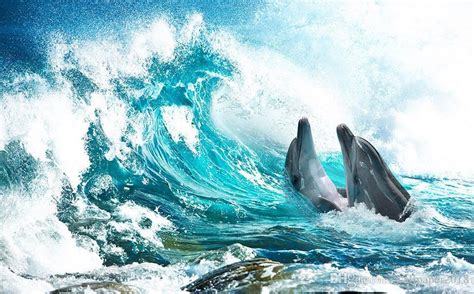 Wallpaper Roll Ocean World Ocean Wave Dolphin Splash Floor