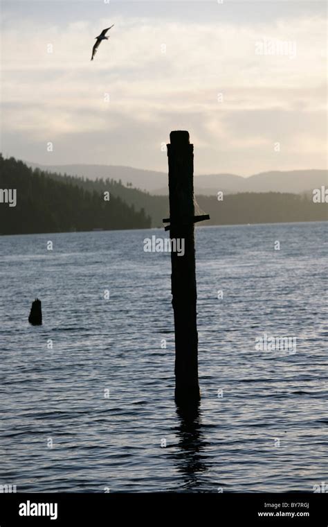 Wolf Lodge Bay, Coeur D Alene, Idaho Stock Photo - Alamy