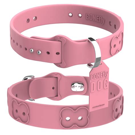 Dog Collar Png Transparent Image Download Size 1024x1024px