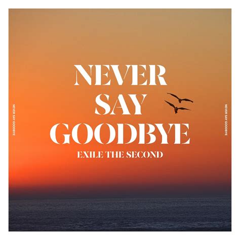 Dont Say Goodbye