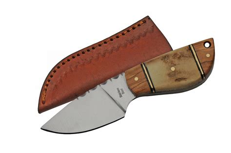 5 Wild Stag Steel Short Skinner Fixed Blade Knife Ss 7028