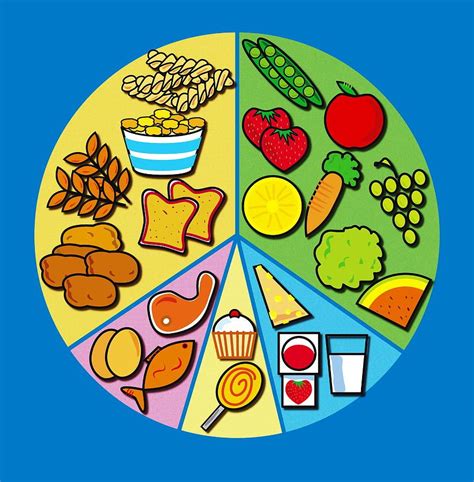 Find out in this article for kids. A BALANCED DIET | Balanced diet, Healthy diet tips ...
