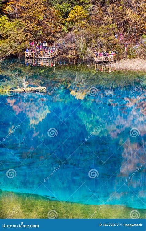 Five Flower Lake Is Lake In Jiuzhaigou Editorial Photography Image Of