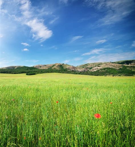 Beautiful Meadow Landscape Stock Photo Image Of Farm 66285616
