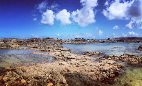 Pupukea Tide Pools Are A Must Do Located Beside Shark Cove At North