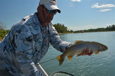 Bow River Fly Fishing Guides Dave Brown Outfitters
