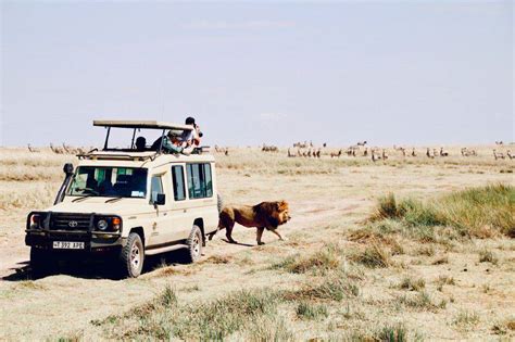 The 10 Best African Safari Tour Operators With Reviews