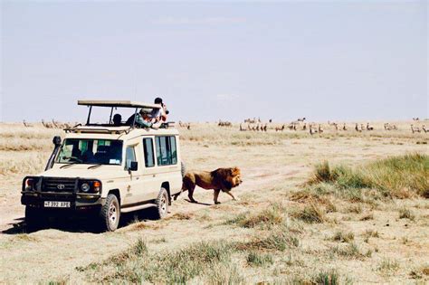 Discover africa's diversity with g adventures. The 10 Best African Safari Tour Operators (With Reviews)