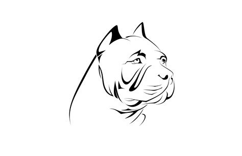 American Pitbull Terrier Dog Graphic By Etinurhayati0586 · Creative