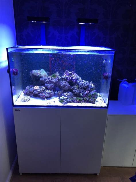 Red Sea Reefer 250 Deluxe Marine Aquarium | in Pulborough, West Sussex