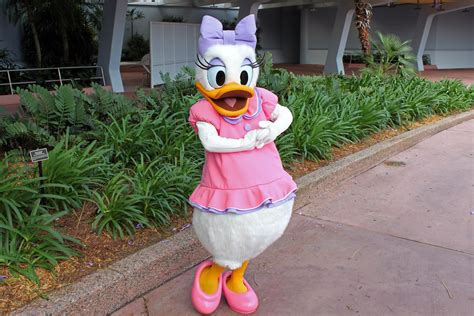 Meeting Daisy Duck EPCOT Walt Disney World Resort In Flor Flickr