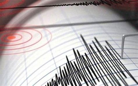 Şefik hüsnü değmer genel müdür: Muğla'da deprem oldu! AFAD'dan son dakika açıklama ...