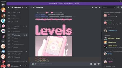 Make You A Cool Or Cute Discord Server By Jkillmer Fiverr
