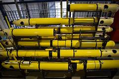 Graal Era Custom Bodies