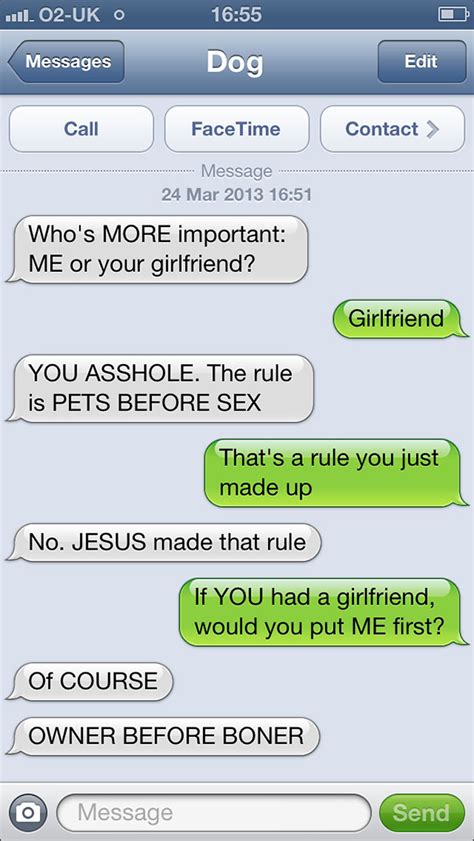 What If Dogs Could Text 25 Hilarious Texts From Dogs Bored Panda