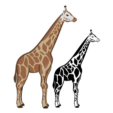 Giraffe Vector Isolated Pattern Vector Vector Isolated Pattern Png