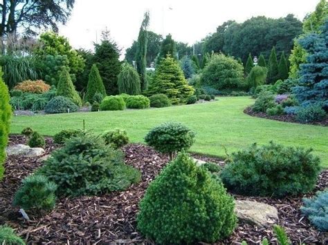 Fantastic Evergreen Landscape Ideas For Front Yard Garden 20