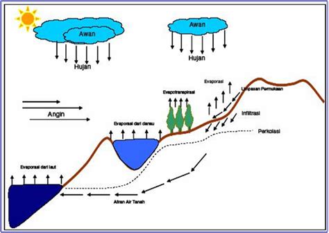 Siklus Hidrologi Pengertian Komponen Tahapan Fungsi Dampak Blog Images