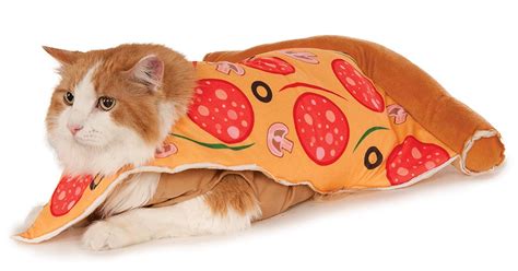 10 Cute Cat Halloween 2019 Costumes That You'll Want To Pounce On Stat