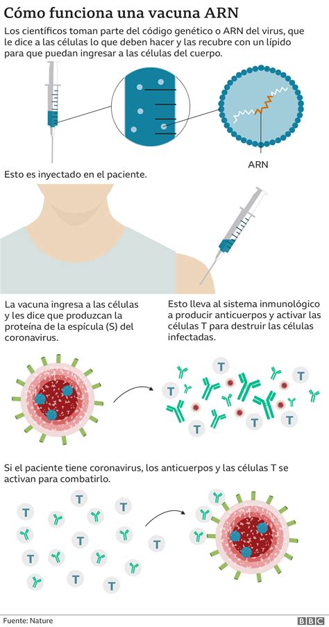 Vacuna Contra El Coronavirus Pfizer Asegura Que La Suya Es Eficaz En