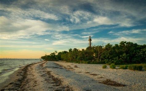 Go sea shell hunting on sanibel island. Best Beaches for Shelling in Florida - Inspire ...