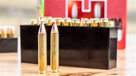 Examining The 350 Legend Cartridge With Hornadys New Whitetail Ammo