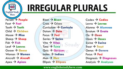 Irregular Plurals English Grammar English Study Here